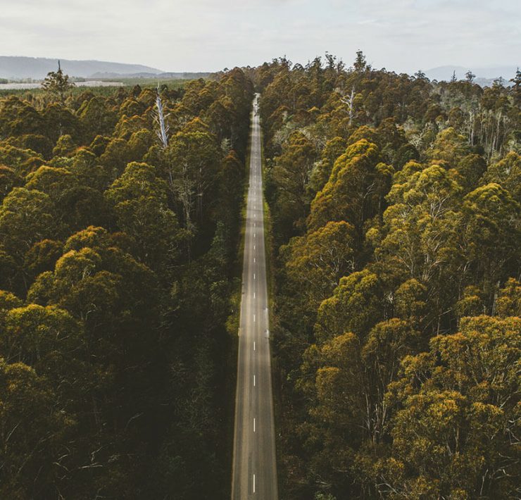 Lyell Highway Tasmanien