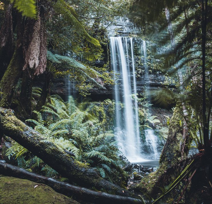 Russel Falls Mount Field Nationalpark Tasmanien