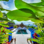 Nayara Springs Pool. Luxusreise