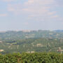 Der Weinbau dominiert die sanfte Hügellandschaft rund um Alba ©PrimoVino. Luxusreisen