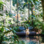 Daintree Eco Lodge. Luxusreisen