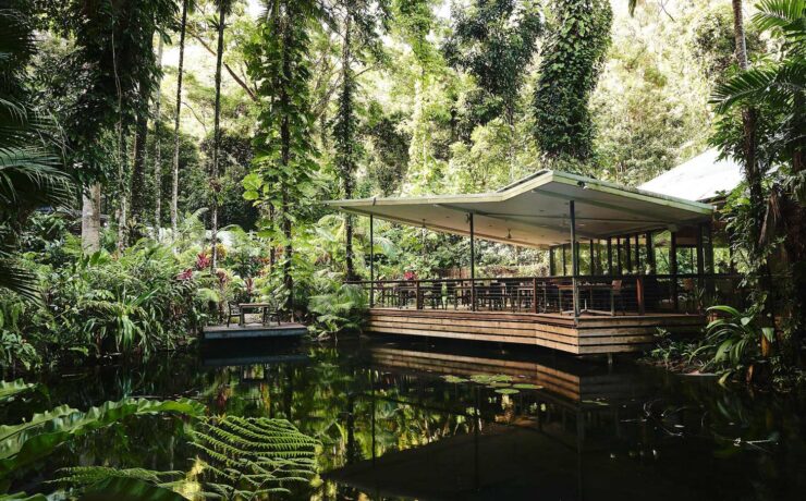 Daintree Ecolodge