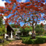 Mauritius. Luxusreisen
