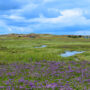 Norfolk. Luxusreisen
