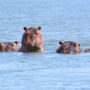 Sambia. Luxusreisen