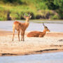 Sambia. Luxusreisen