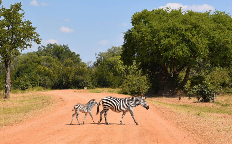 Sambia. Luxusreisen
