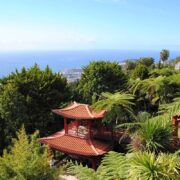Luxusreisen Madeira