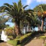Luxusreisen Madeira