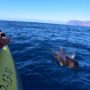 Luxusreisen La Gomera
