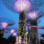 Singapur Luxusreisen